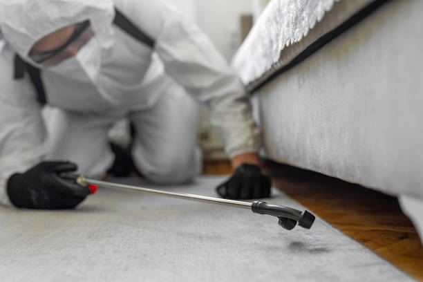 Professional Pest Control technician working in Bibb County County, AL